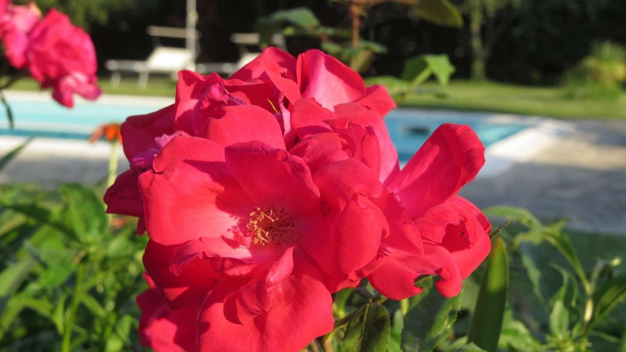 Il Gelso Di Barcuzzi Bed and Breakfast Lonato del Garda Exterior foto