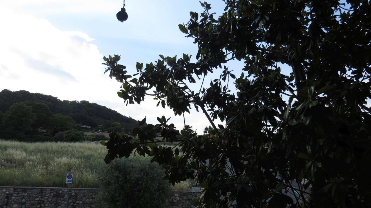 Il Gelso Di Barcuzzi Bed and Breakfast Lonato del Garda Exterior foto